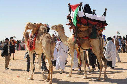 SAHARA MARATHON  2011